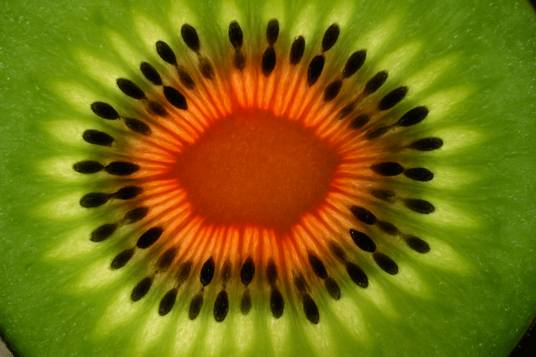 Fotografia macro de alimentos ideias criativas com frutas e texturas